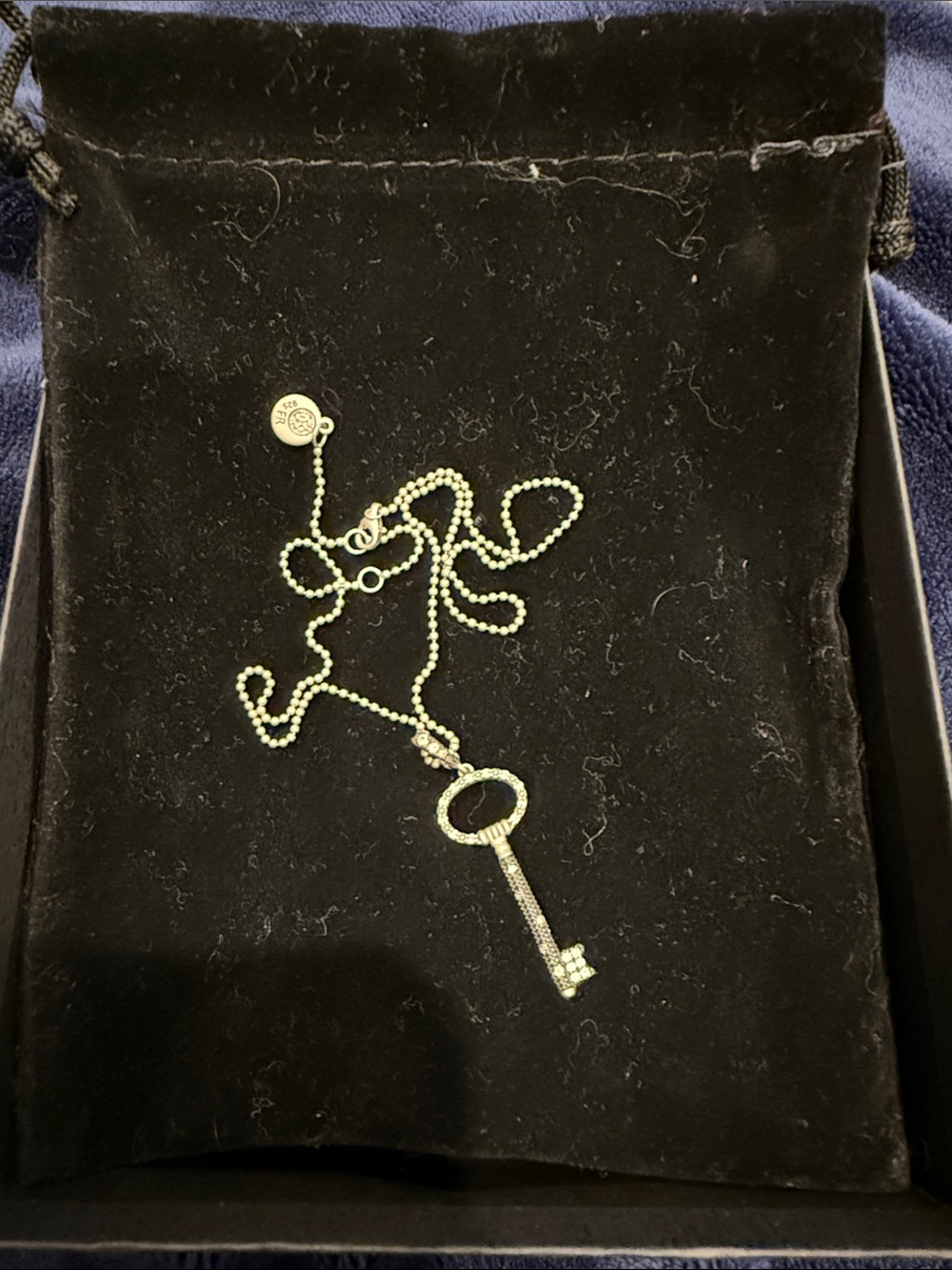 Delicate Silver Key Pendant Necklace - Sparkling Rhinestone Accent